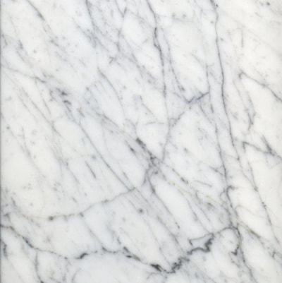 MARBLE TILE BIANCO VENATINO