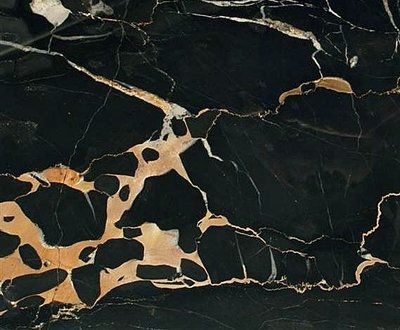 NERO PORTORO MARBLE TILE